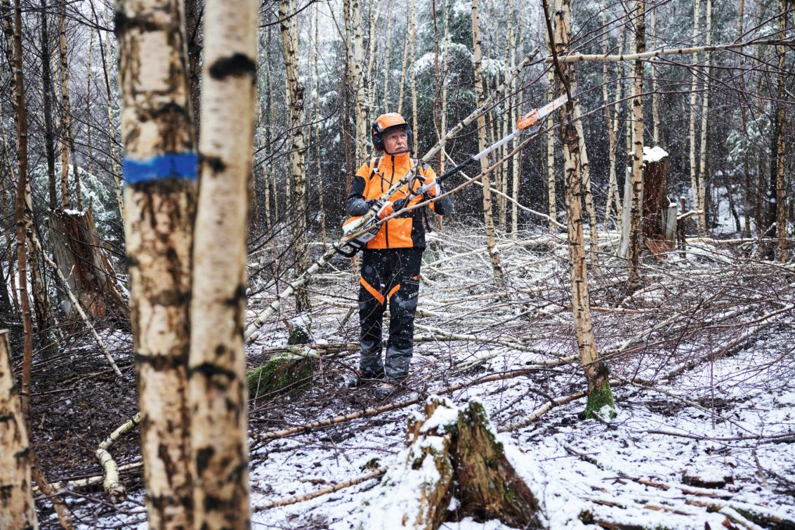 Forest worker cutting wood with a STIHL tool